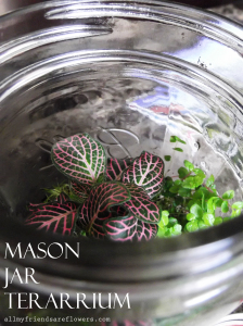 How To: Mason Jar Terrarium